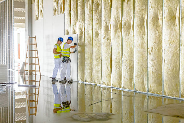 Best Specialized Insulation Services in Knightsen, CA